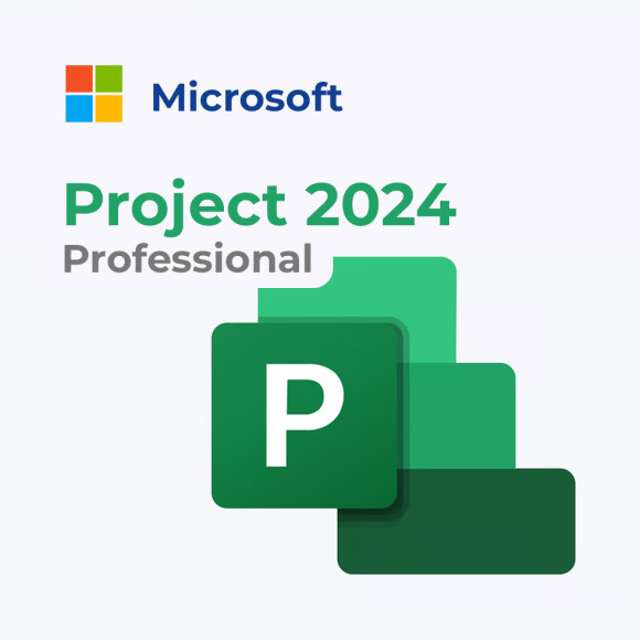 Microsoft Project 2024 Professional Microsoft Project 2024 Professional